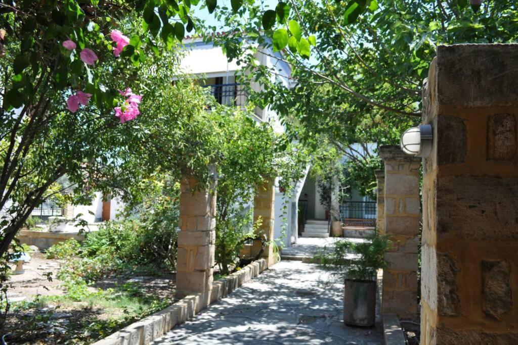 Κέντρο Αίγινα Ήσυχη Κατοικία90Τμ Δίπλα Στη Θάλασσα Exterior photo